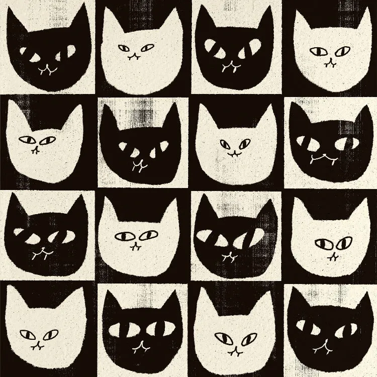 Enikő Eged - Black Cat White Cat