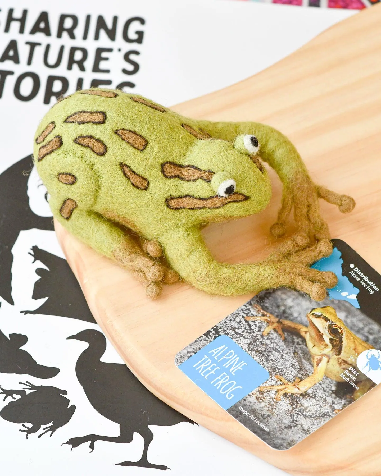 Felt Australian Toy - Alpine Tree Frog - Parks Victoria Nature Mascots