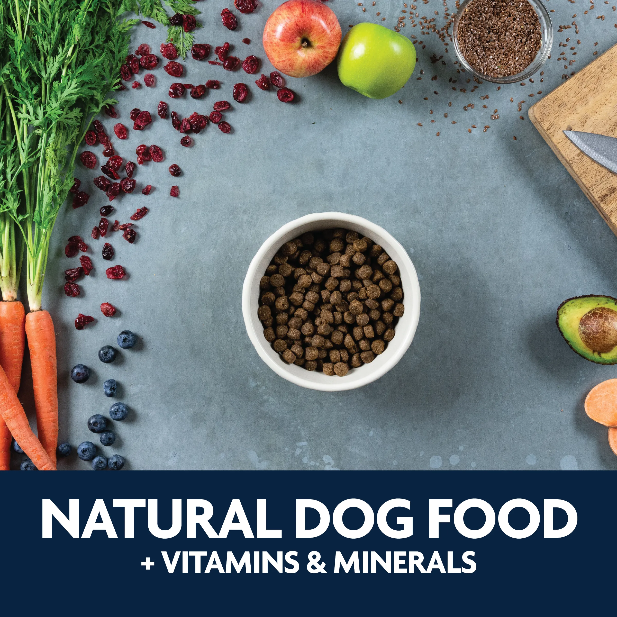 Grain Free Salmon & Sweet Potato Dog Food | 3 LB, 13 LB, 26 LB | Triumph