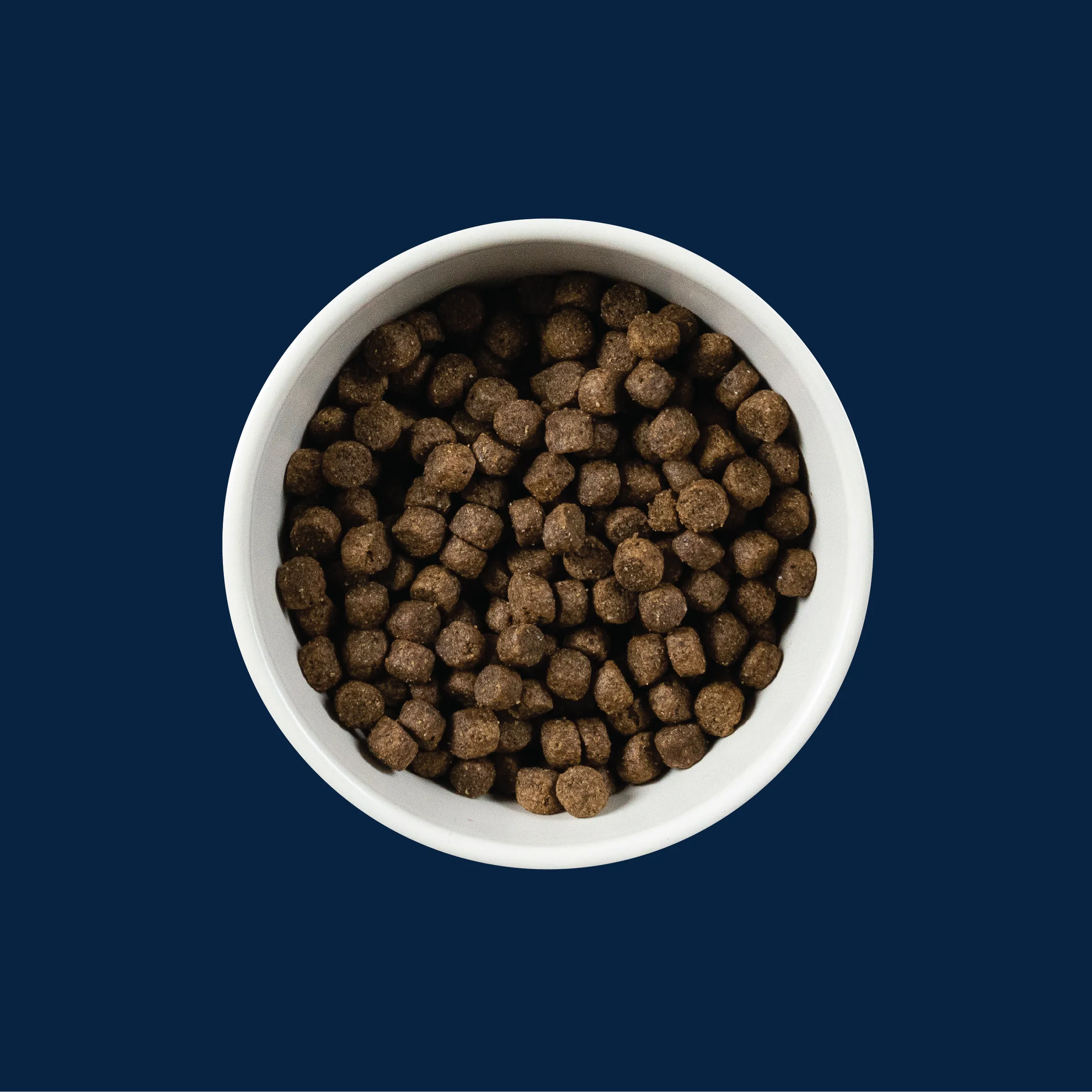Grain Free Salmon & Sweet Potato Dog Food | 3 LB, 13 LB, 26 LB | Triumph