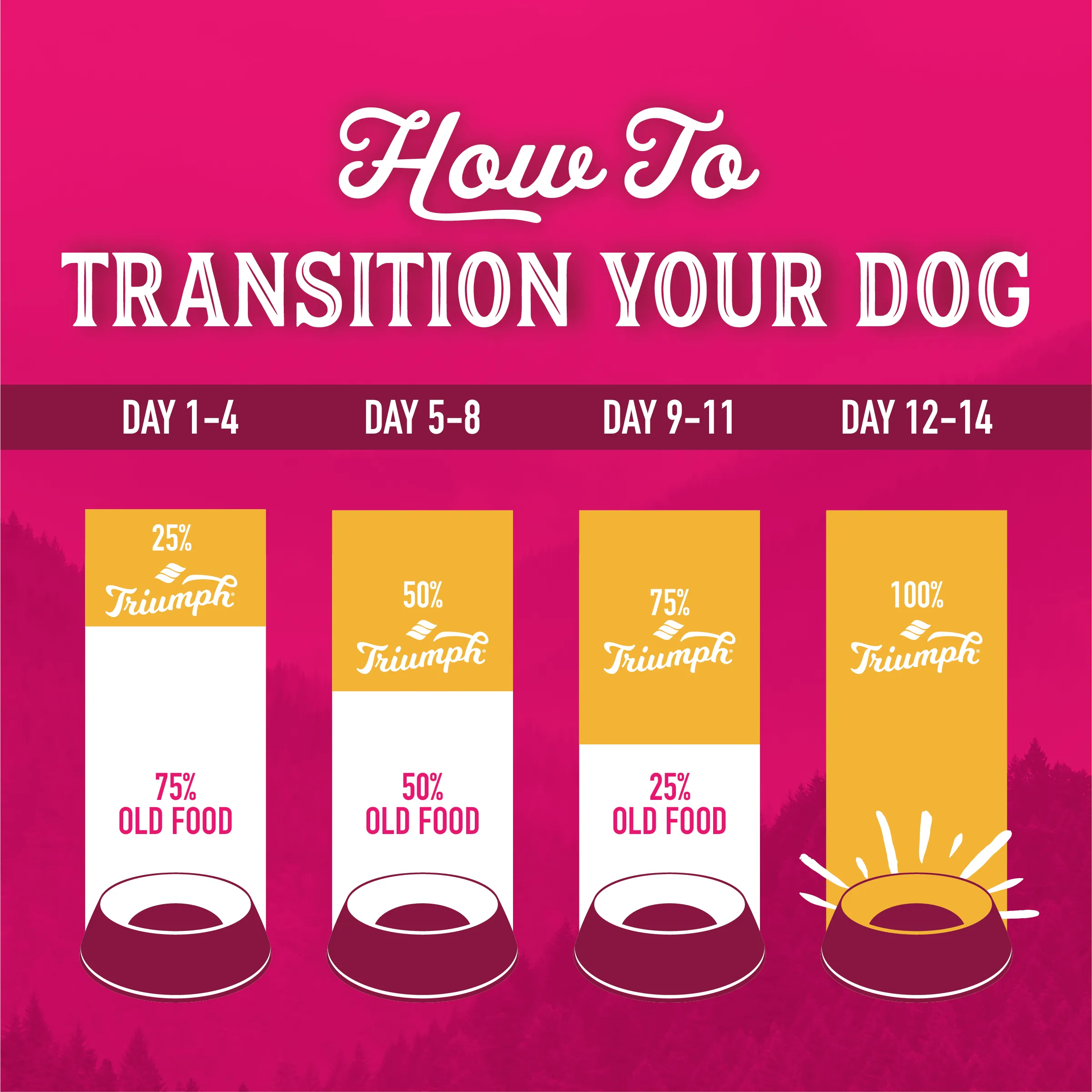 Grain Free Salmon & Sweet Potato Dog Food | 3 LB, 13 LB, 26 LB | Triumph
