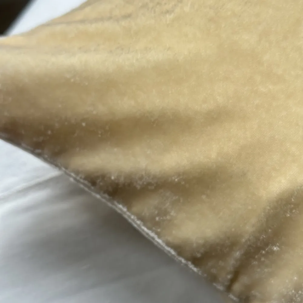 Harvest  Embroidered Silk Velvet Cushion in Champagne