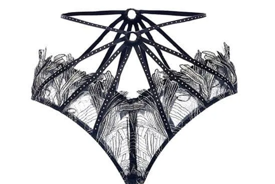 Transparent Embroidery Luxury Lingerie Set
