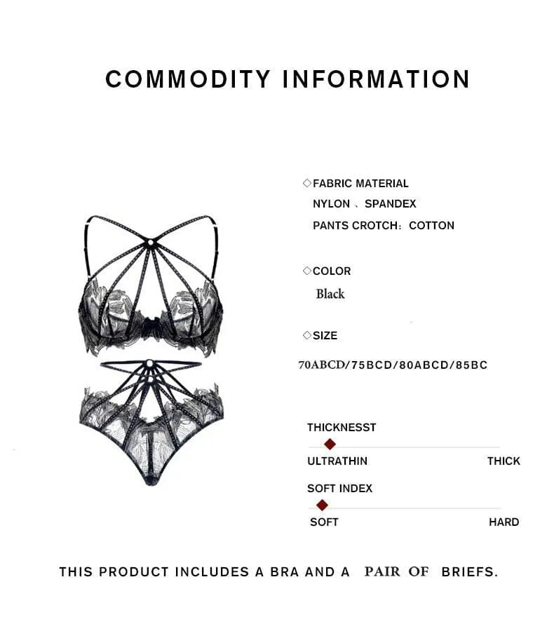 Transparent Embroidery Luxury Lingerie Set
