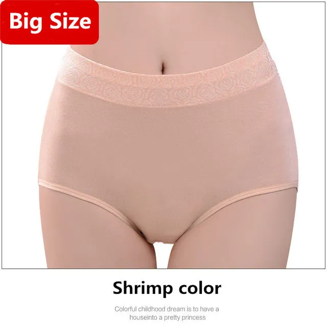 Underwear Women Plus Size Panties Brand Briefs Stretching Breathable Seamless Big Size Slimming Lingerie Female Calcinha Cueca